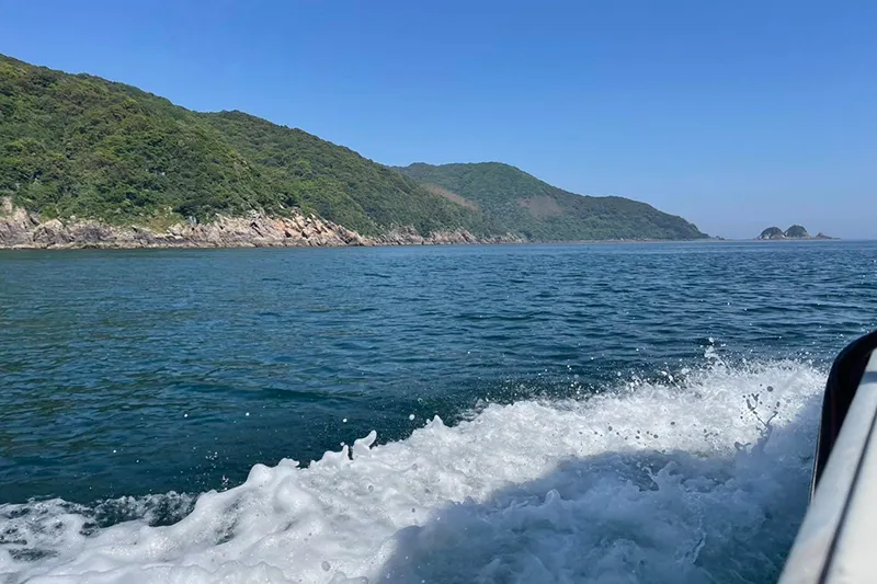 代行海洋散骨